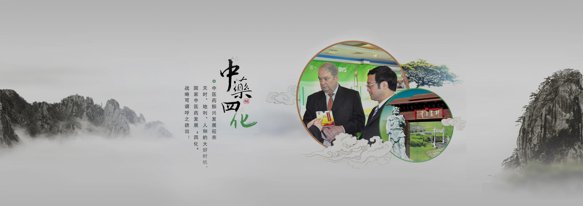 四平建站-若一医药科技